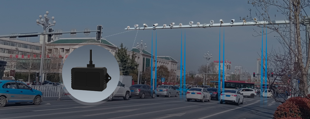 z6���������ǲ�(�й���)���޹�˾����