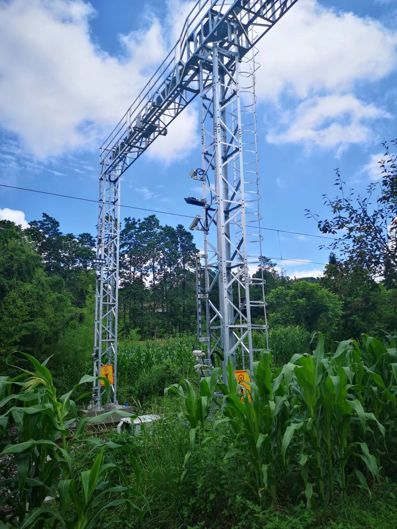 z6���������ǲ�(�й���)���޹�˾����