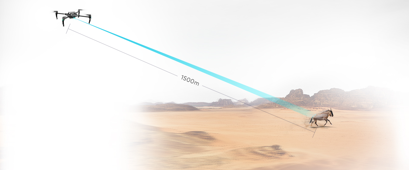 z6���������ǲ�(�й���)���޹�˾����