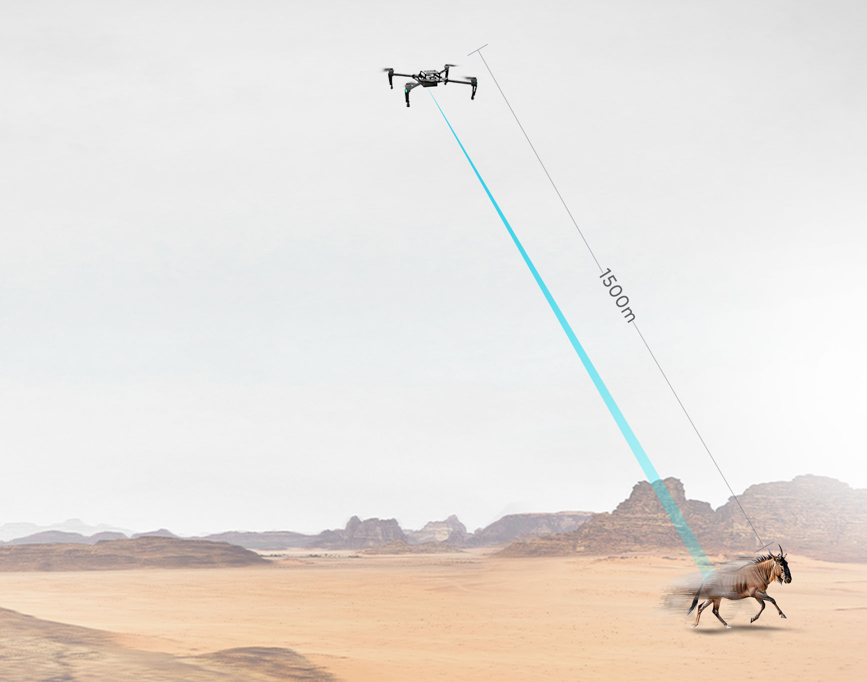 z6���������ǲ�(�й���)���޹�˾����