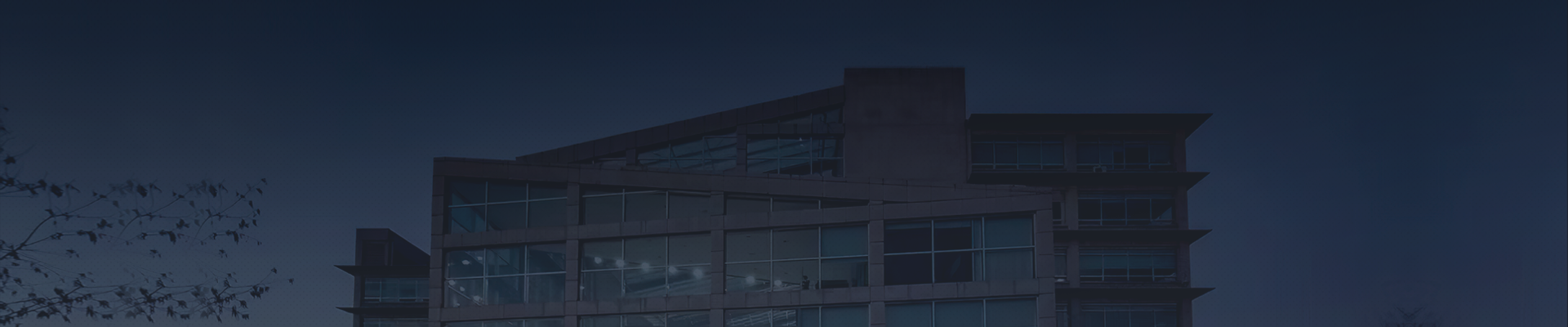 z6���������ǲ�(�й���)���޹�˾����