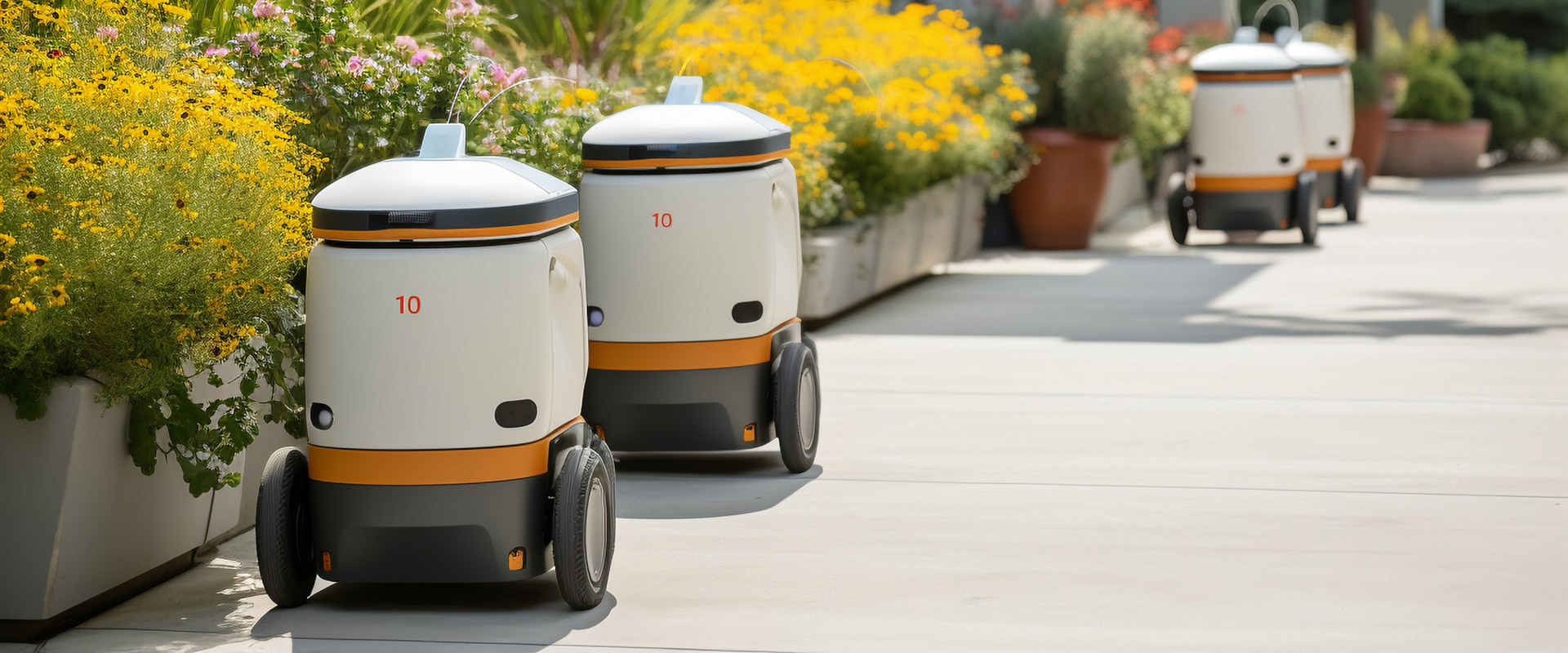 z6���������ǲ�(�й���)���޹�˾����